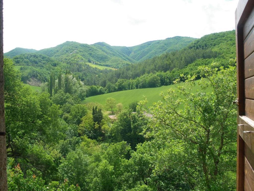 Agriturismo Orsaiola Урбанія Номер фото