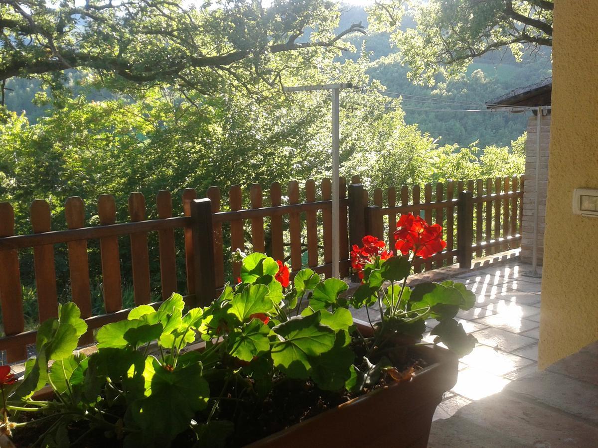 Agriturismo Orsaiola Урбанія Екстер'єр фото